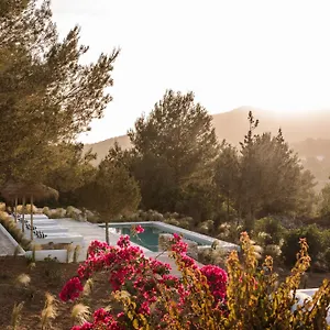 https://agroturismo-can-domo.balearic-islands.net